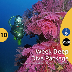 Ustica Week - Deep Diving